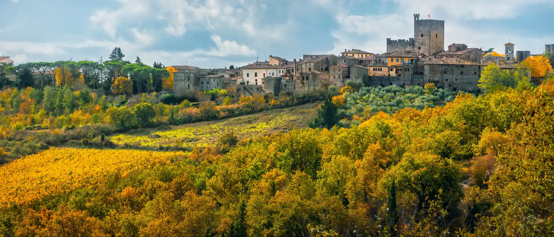 Castellina in Chianti