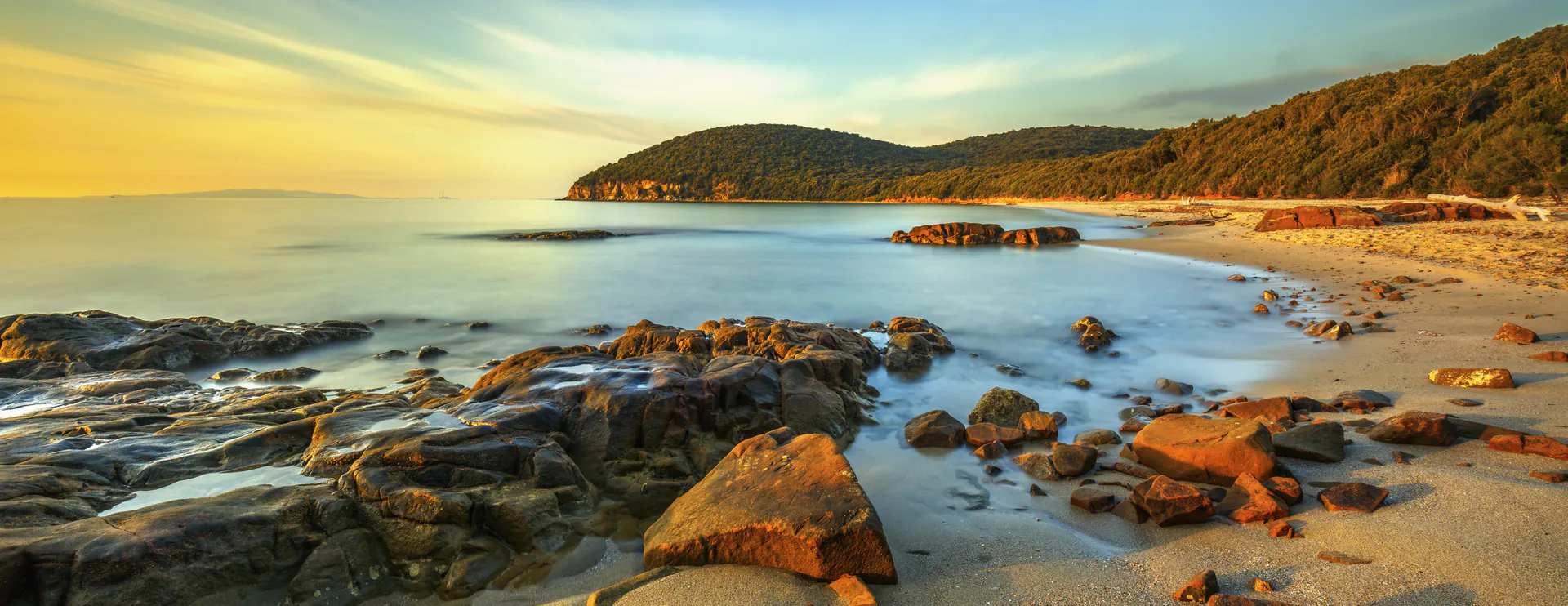 Cala Violina Scarlino